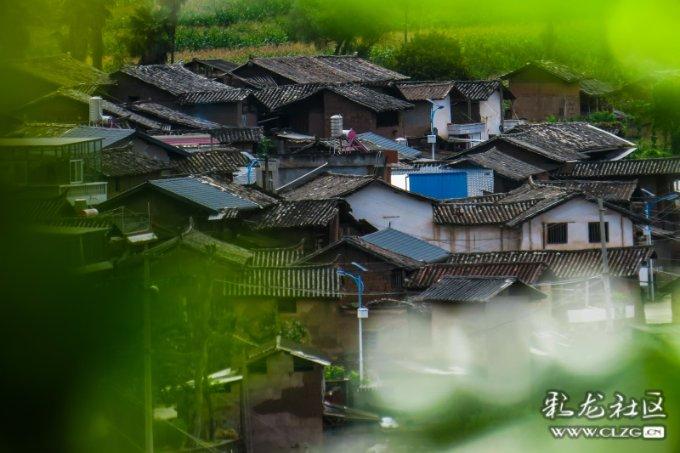 史小坑的爆笑生活12
